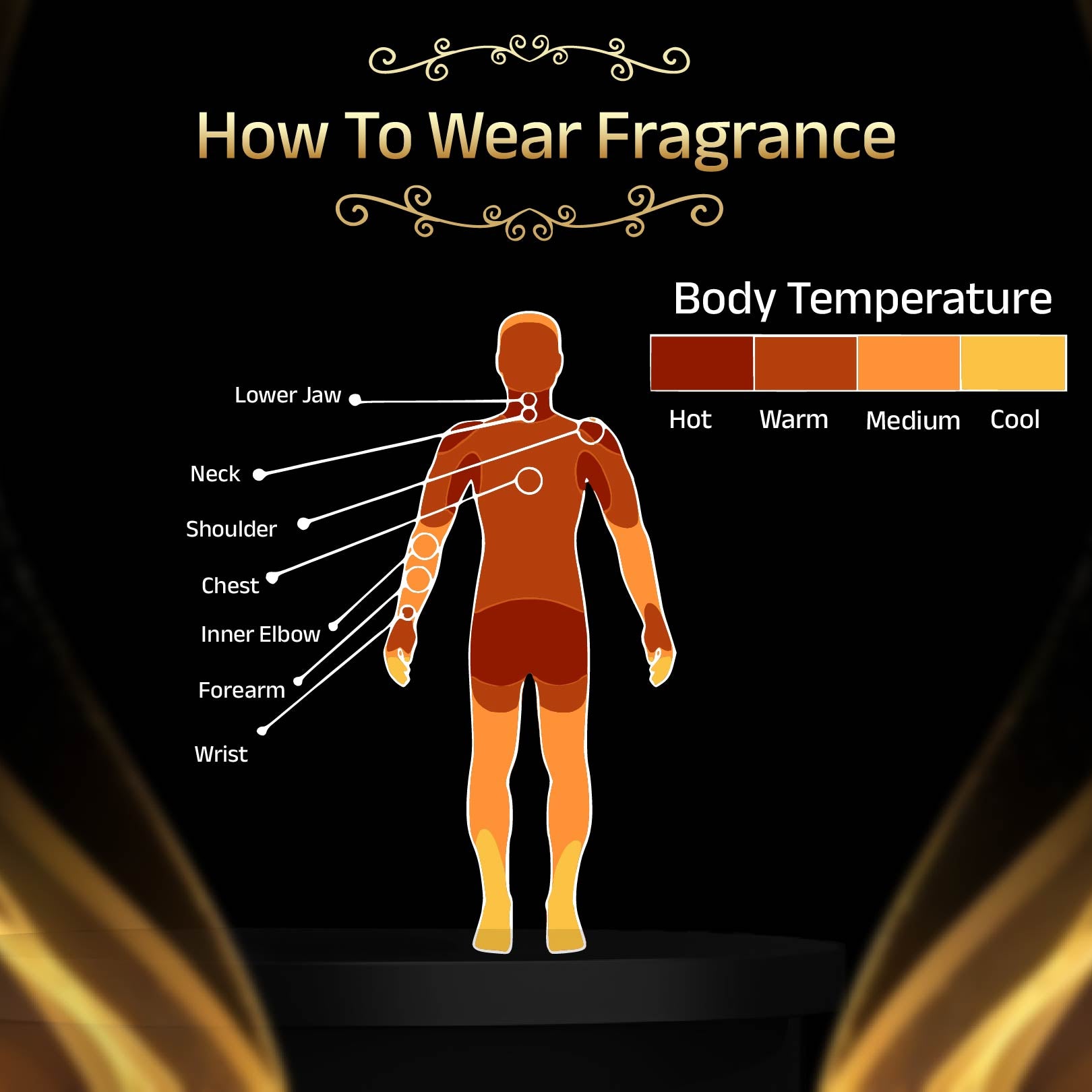 Fougere Fragrance for Men | Men's Aromatic Fragrance | Amore Fragrance